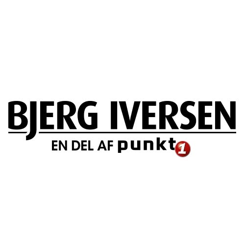punkt1 logo